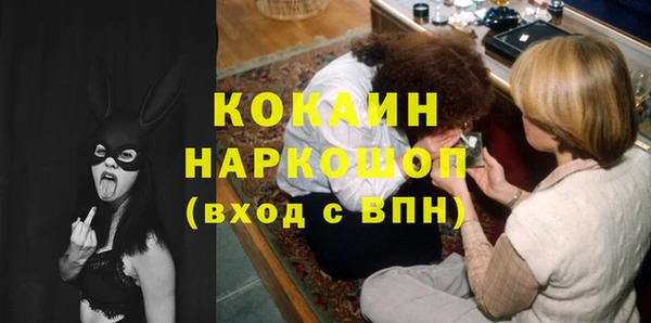 гашик Аркадак