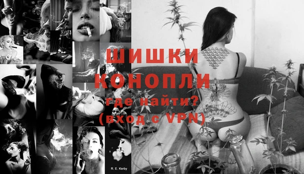 гашик Аркадак