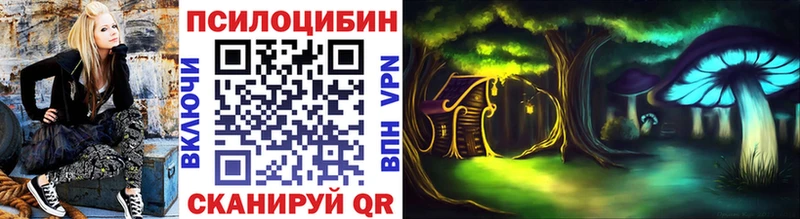 как найти наркотики  Семёнов  Галлюциногенные грибы Magic Shrooms 
